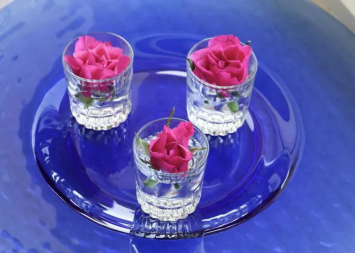 Brandenburger Str. 1